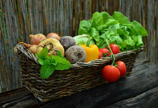 Vegetable Garden