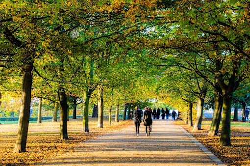 a group of people walking down a path in a park