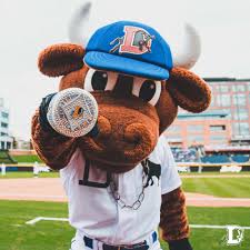 a mascot wearing a baseball uniform on a field
