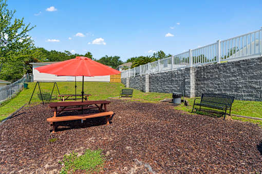 Dog Park Area