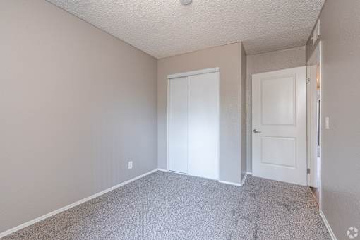 A room with a carpeted floor and two white doors.