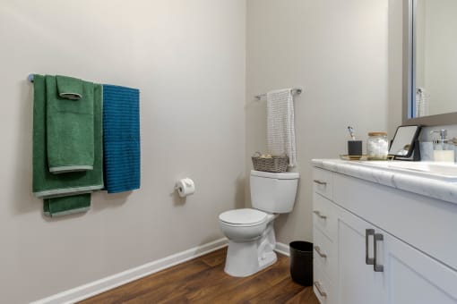 one of two bathrooms at the enclave at woodbridge apartments in sugar land, tx
