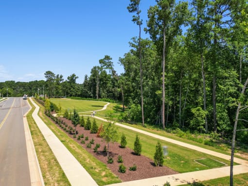 a view of a road and a park with trees