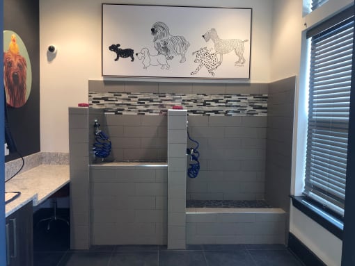 Pet Spa