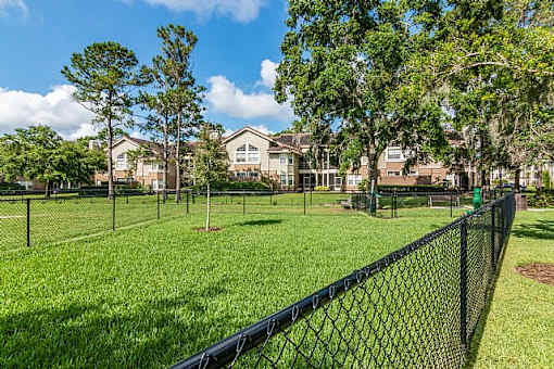 The Alexander at Sabal Point Dog Park