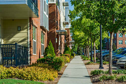 A tree-lined walkway in front of apartment buildings.