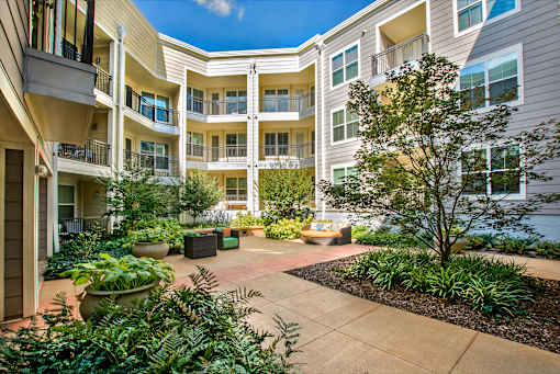 A courtyard with a tree and potted plants in front of apartment buildings.