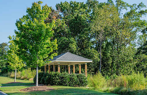 A gazebo is surrounded by greenery and trees.