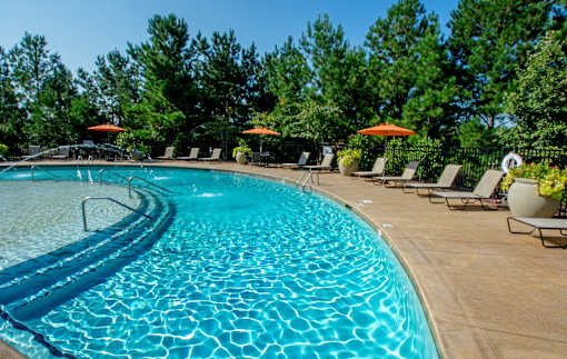 A large swimming pool surrounded by trees and lounge chairs.
