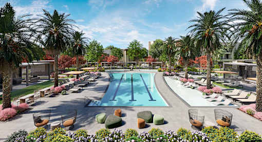 A large outdoor swimming pool surrounded by palm trees and lounge chairs.at Elysium, Phoenix Arizona