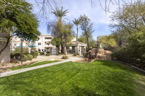 Green Landscape at Vintage at Scottsdale, SCOTTSDALE, 85260