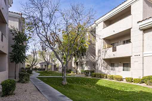Grassy Area at Vintage at Scottsdale, SCOTTSDALE, 85260