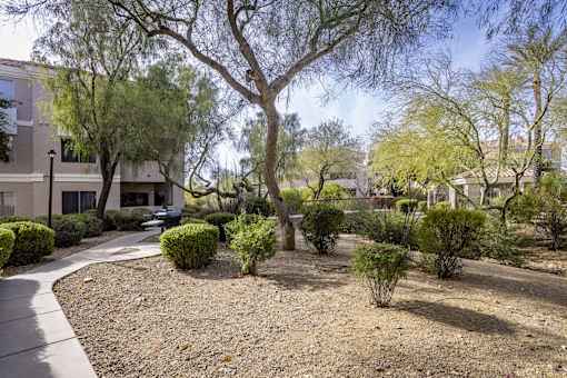 Courtyard at Vintage at Scottsdale, Arizona, 85260