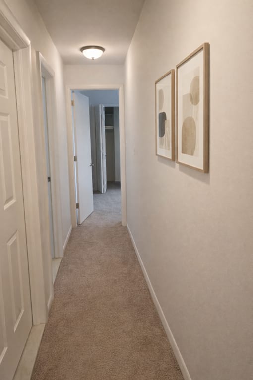 A hallway with two pictures on the wall and a carpet on the floor.