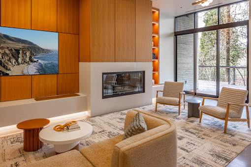 Resident greatlounge with TV and fireplace - Willow Apartments