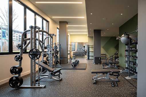 State-of-the-art fitness center with weights - Brentford at the Mile