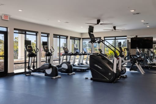 Element 25 fitness center