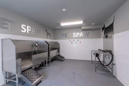 Dog spa - Talavera Apartments