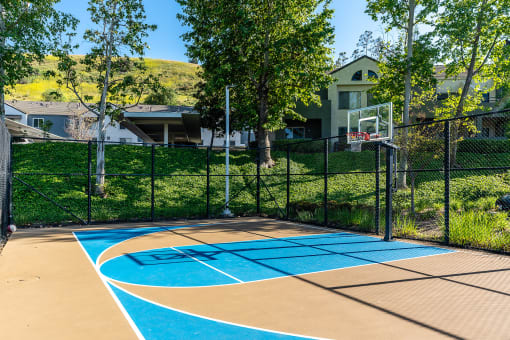The Cascades Apartments basketball court