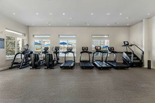 A gym with treadmills and elliptical machines.