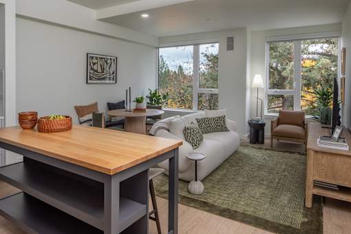 Large windows with roller shades - Willow Apartments