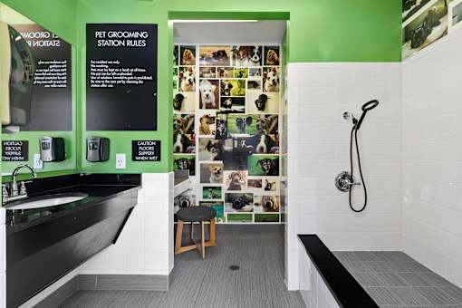 Pet grooming spa - Evergreen Lenox Park