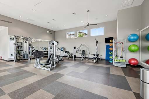 State-of-the-art weight equipment - First and Main Apartments