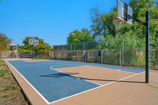 Outdoor basketball court - Mountain Shadows Apartments