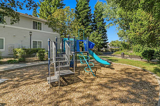 Playground - Preserve at Blue Ravine