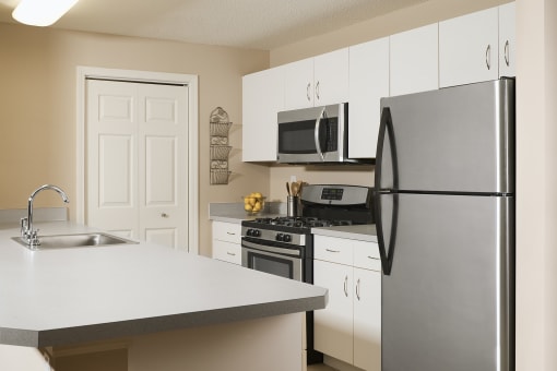 Stainless steel appliances - Hampshire Green Apartments
