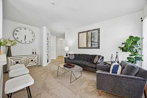 Carpeted living areas available - Avenel at Montgomery Square