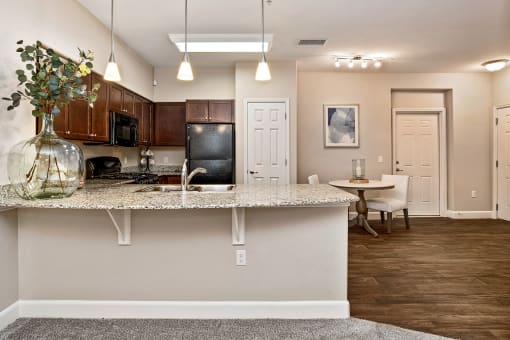 First and Main Apartments granite countertops