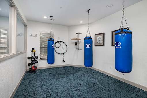 Boxing room - Monterra Las Colinas Apartments