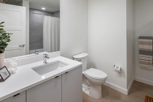 Tiled-in shower and bathtubs - Willow Apartments