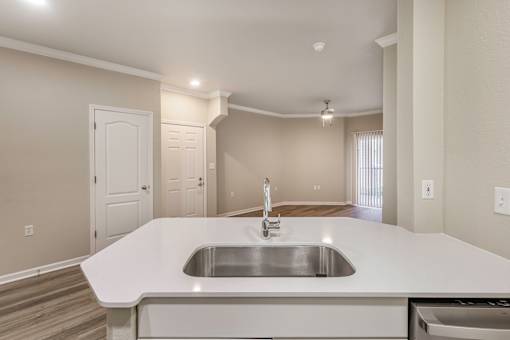 Large basin sinks - Lantern Woods Apartments