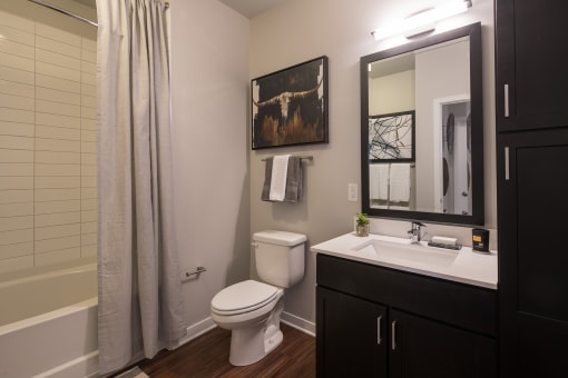 Quartz bathroom vanities - Onyx Edina