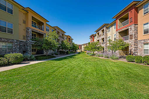 A row of apartment buildings with a green lawn in the foreground.