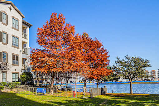 Dog park - Monterra Las Colinas Apartments