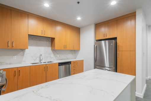Quartz counter tops - Main 3 Downtown