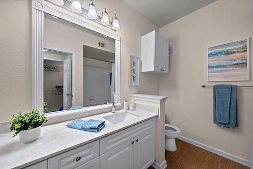 A bathroom with a white sink and a large mirror.