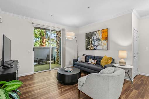 A living room with a grey couch and a television.