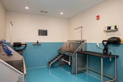 Element 25 pet grooming station
