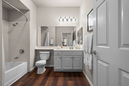 Well-lit bathrooms - Willow Spring Apartments