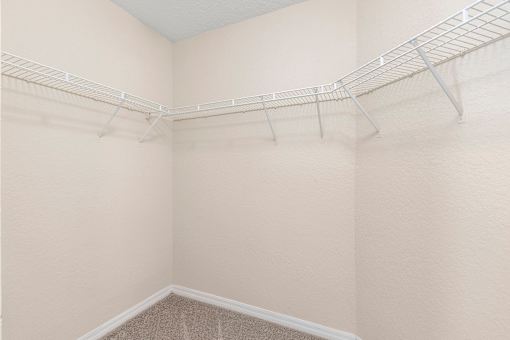 Spacious walk-in closets - Egret's Landing Apartments