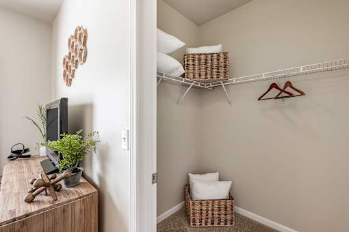 A room with a TV, plant, and a wooden box on a table.