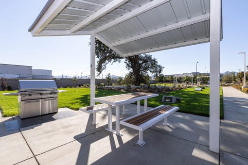 Picnic area with gas grill station - NOVA at Green Ranch