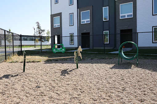 A dog is playing with a frisbee in a sandy area in front of a building.