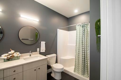 A bathroom with a white toilet and a green plant.