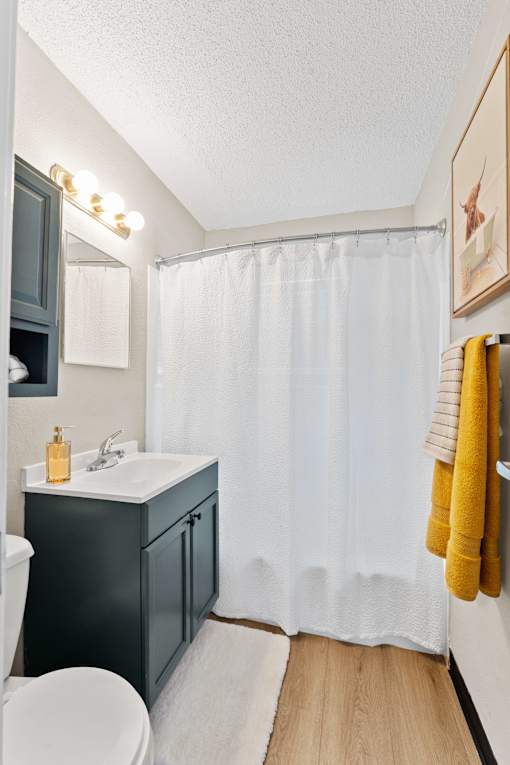 A bathroom with a white toilet, sink, and shower curtain.
