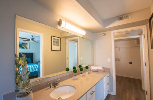 A bathroom with a pineapple on the counter.